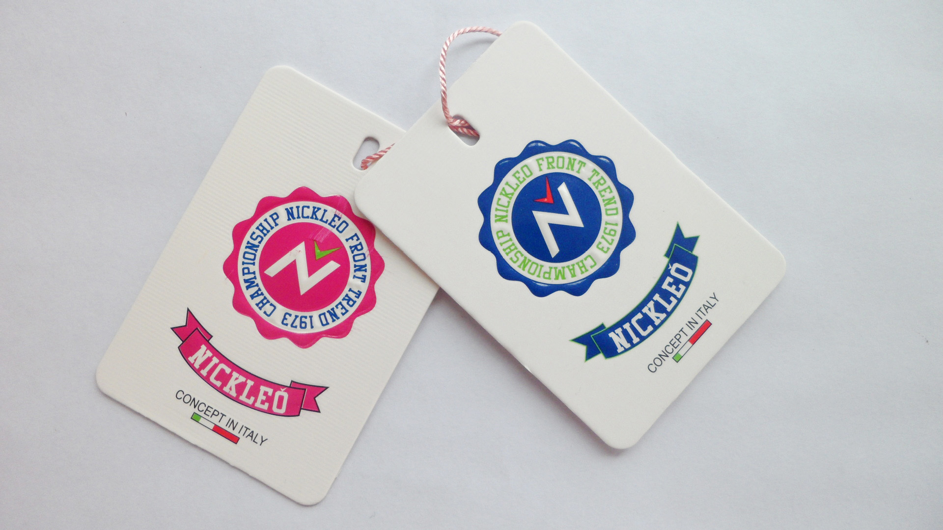 Promotion Colorful Fashion garment Printing Hang Tags With Strings And Pins